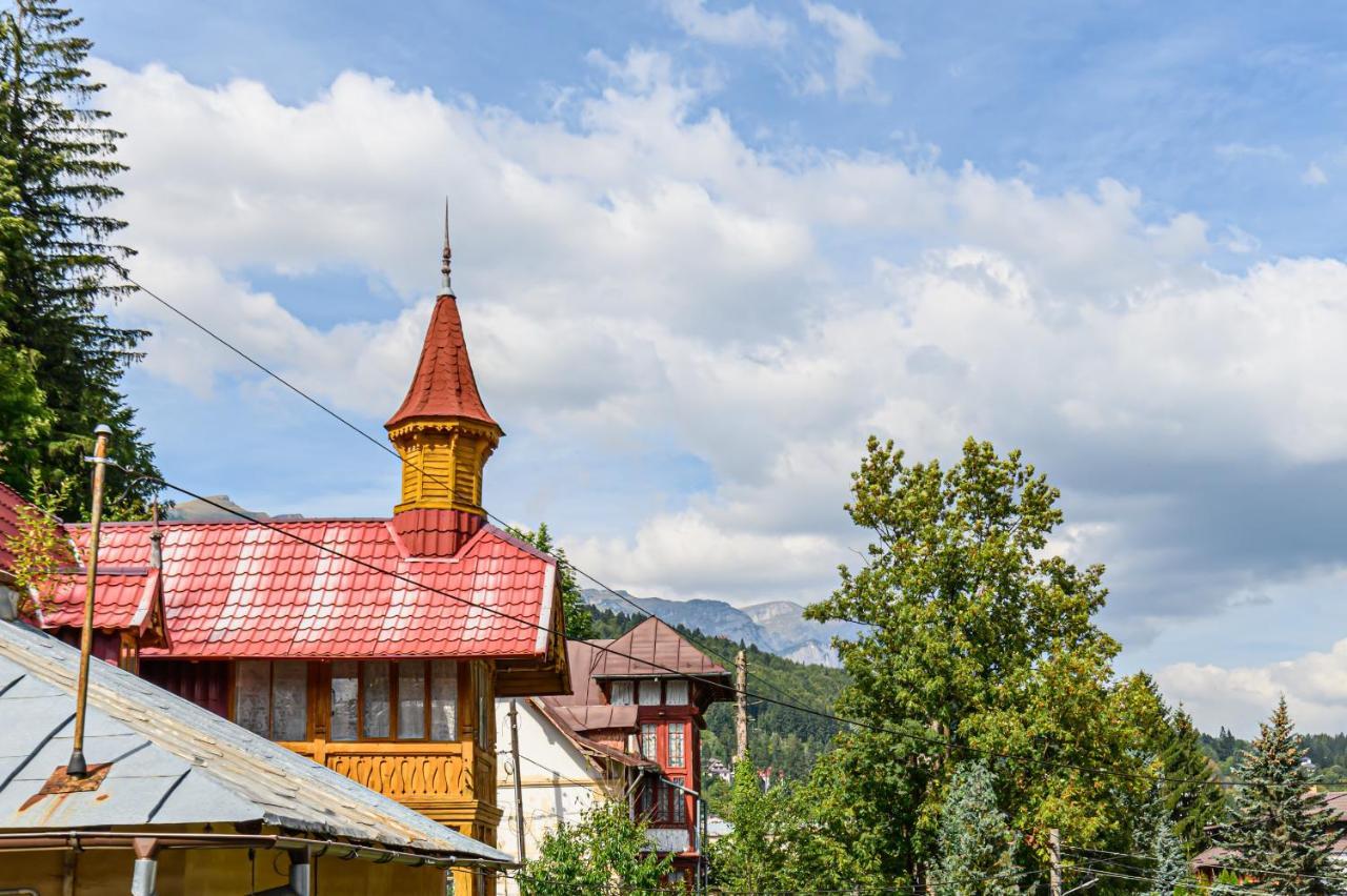 Mountain Oasis Apartment Sinaia Ngoại thất bức ảnh